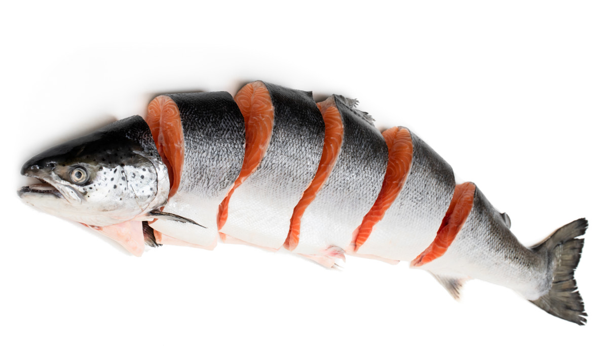 Атлантическая семга (Лосось)
Целая замороженная рыба вид Salmo salar размером от 6 до 7 килограммов позволяет получить вкусное, в меру сочное диетическое мясо.
Атлантическая Семга является одной из самых распространенных видов рыбы в мире. Она широко используется в различных блюдах, в том числе для суши, супов, роллов и для обжаривания на гриле. Замороженная семга хорошо сохраняет питательную ценность и может быть удобным источником белка для диетического питания.
Замороженная Семга содержит высокую концентрацию полезных жирных кислот, в том числе омега-3, которые полезны для сердечно-сосудистой системы и могут снижать риск развития сердечно-сосудистых заболеваний. Семга также является богатым источником протеина, который необходим для строительства и ремонта тканей человеческого тела. Протеин, который содержится в семге, может быть использован организмом для синтеза гормонов. Поэтому употребление семги в рационе может быть полезным для поддержания нормального уровня гормонов в человеческом теле.
При заказе рыбы укажите, какой вид нарезки вам необходим. Так как эта рыба семга замороженная, есть два вида поставки - целая рыба и нарезанная на стейки. По данной цене предлагается целая рыба, в комплекте с головой и суповым набором.
Хранить в морозильной камере.